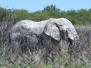 namibia13