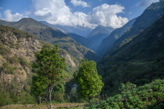 NPL_0625