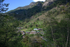 NPL_0631