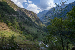 NPL_0646