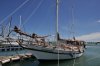 anls_0017_r