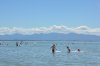 anls_0075_r