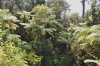 babl_0065_r
