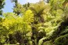 babl_0068_r