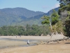 babl_0290_r