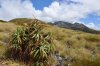 cmar_0110_r
