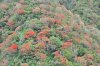 dwes_0044b_r