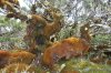 grou_0026_r