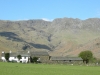 dscn4187_2_r