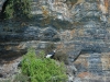 mor_0568_3_r