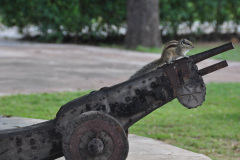 JAI_0104