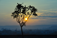 JAI_0126