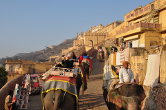 JAI_0154