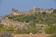 UDA_0181