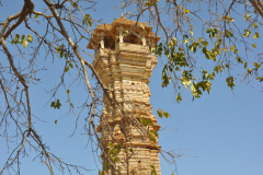 UDA_0197