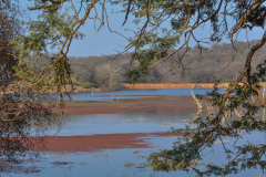 UDA_0339