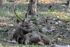 UDA_0422a_1