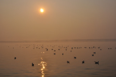 VAR_0252a