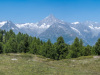 ROT_0393-Pano