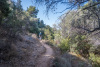SAM_0110