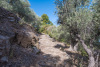 SAM_0147