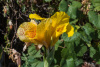 SAM_0154