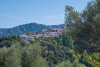 SAM_0167