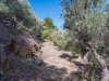 SAM_0147