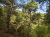 SAM_0186