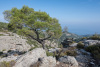 SAM_0297
