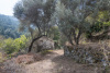 SAM_0315
