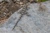 SAM_0382