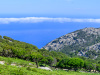SAN_0691-Pano