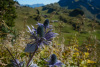 sch__0011_r
