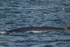 SPI_0450a