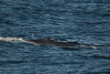 SPI_0450e