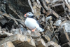 SPI_0564a
