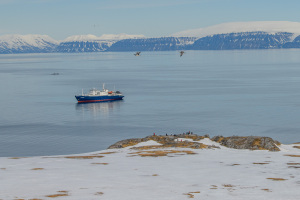 Spitsbergen11