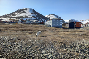 Spitsbergen12