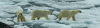 SVA_1504-Pano