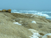 SVA_1540a