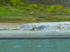 SVA_1954-Pano