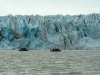SVA_0461