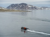 SVA_0721
