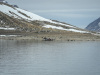 SVA_0725