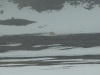 SVA_0737