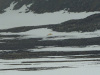 SVA_0744