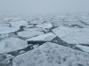 SVA_2065