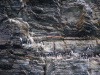 SVA_1526