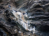 SVA_1528